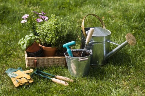 Arborist carrying out careful crown thinning to improve light and airflow