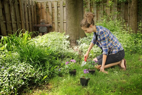 Image symbolising keyboard navigation and accessible tree surgery content
