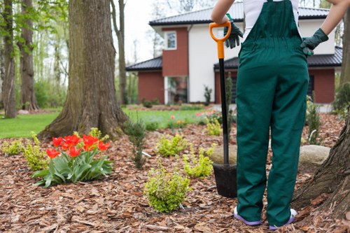 Local tree reduction service for urban gardens and commercial sites in Millbank