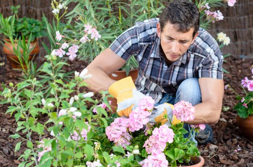 Local stump grinding service for homes and businesses in Millbank